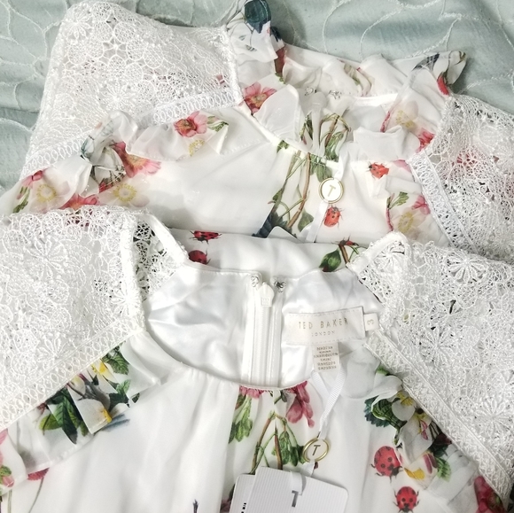 🍒NWT🍒 TED BAKER MARYAM SHIMMERY ORACLE DRESS - Picture 6 of 8